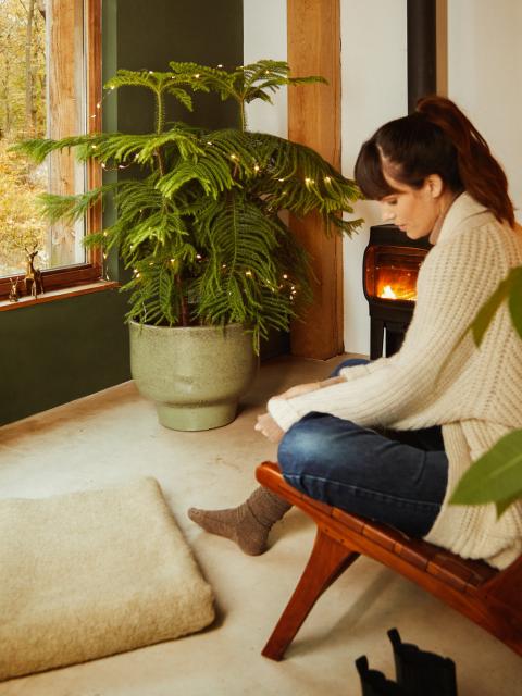 alternatieven op kerstboom | mooiwatplantendoen.nl
