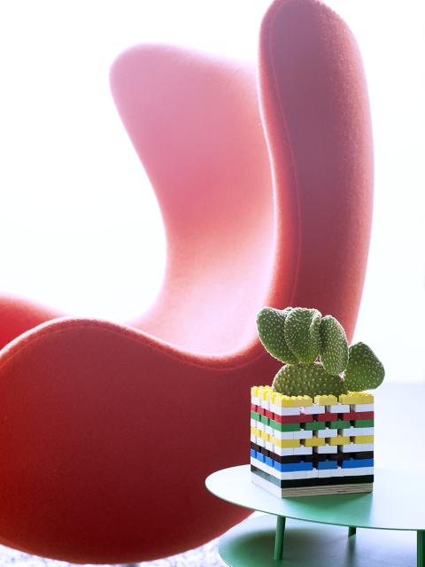 Cactus DIY Lego Mooiwatplantendoen.nl