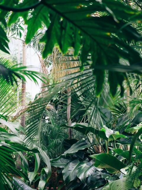 Ga met Valentijn op plant date mooiwatplantendoen.nl