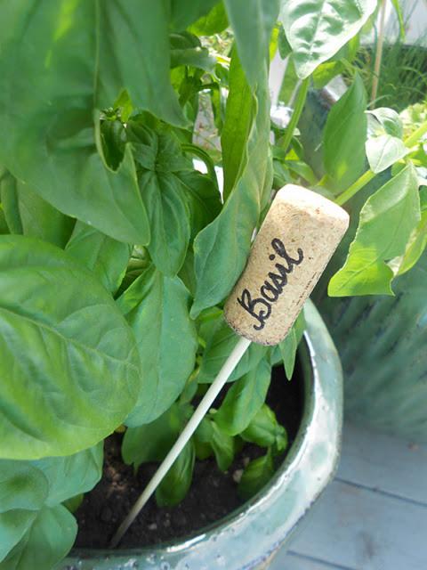 Kurk als plantenlabel - mooiwatplantendoen.nl
