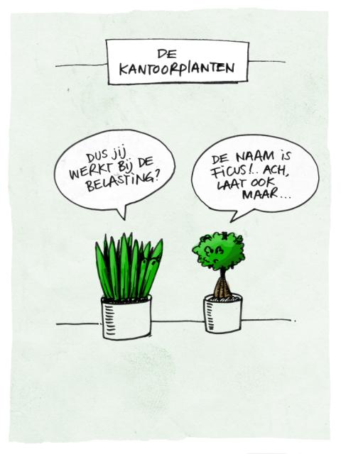 Netwerken met de Kantoorplanten - mooiwatplantendoen.nl