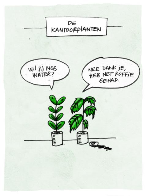 Koffie drinken met de Kantoorplanten - mooiwatplantendoen.nl