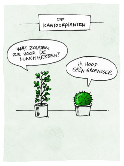 De Kantoorplanten - mooiwatplantendoen.nl