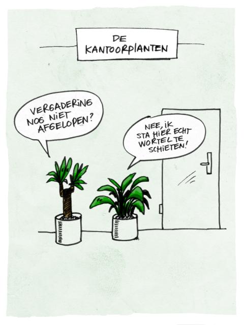 Vergaderen met de Kantoorplanten - mooiwatplantendoen.nl