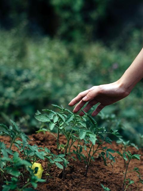 Tuinieren maakt gelukkig! | Mooiwatplantendoen.nl