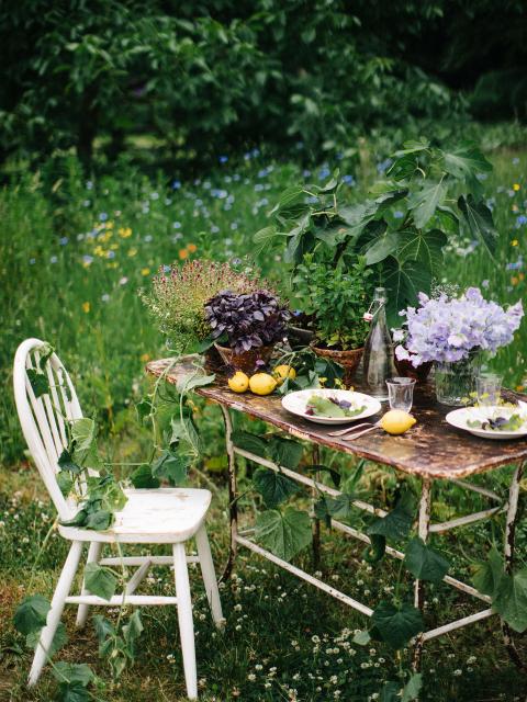 Zomer aan tafel Mooiwatplantendoen.nl