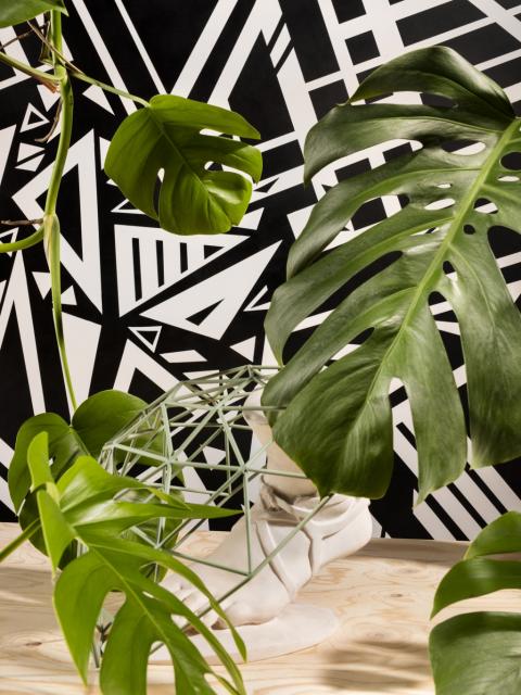Reconsider Space Stijltrend Mooiwatplantendoen.nl
