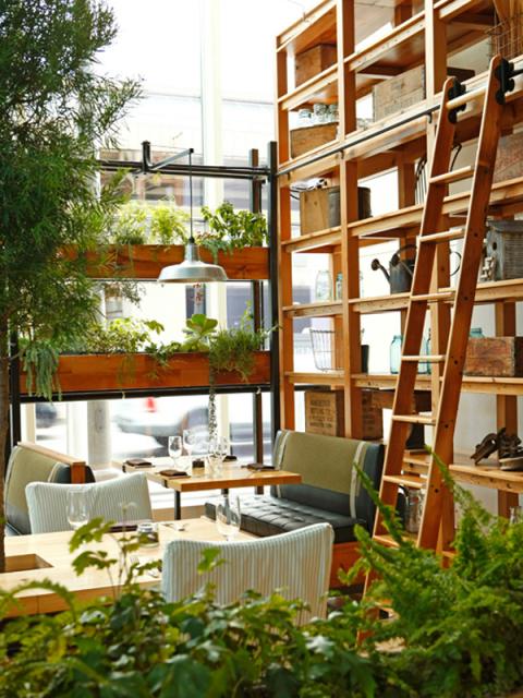 Eten met het betere urban bosgevoel  mooiwatplantendoen.nl