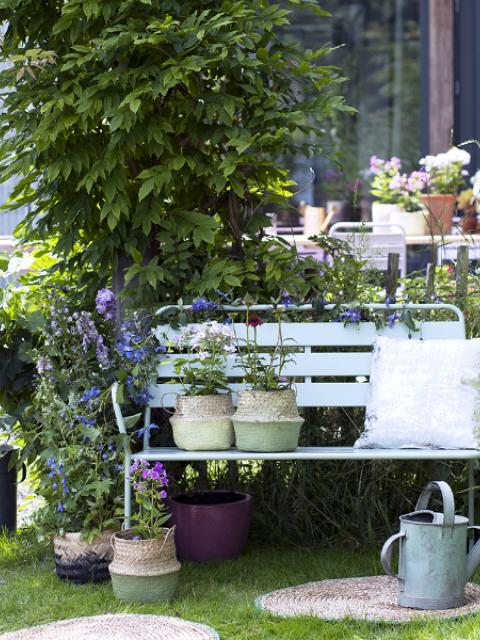 Erop uit voor plantfanaten in de zomer Mooiwatplantendoen.nl