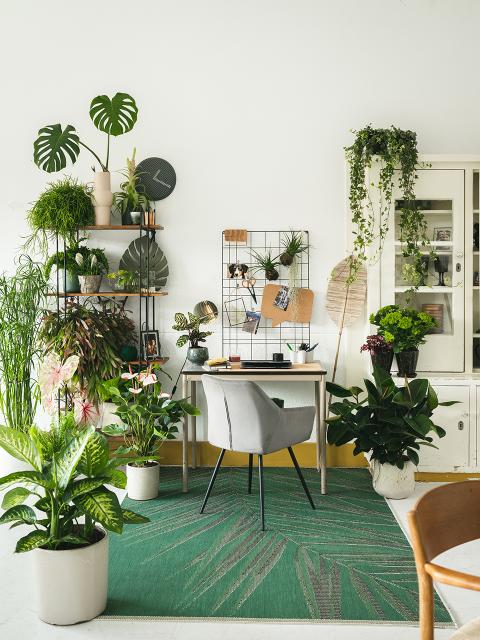 Voor meer productiviteit en creativiteit