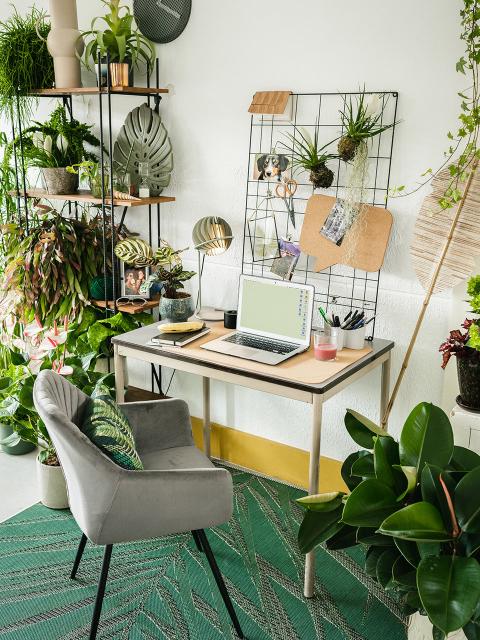 Win: green home office make-over | mooiwatplantendoen.nl