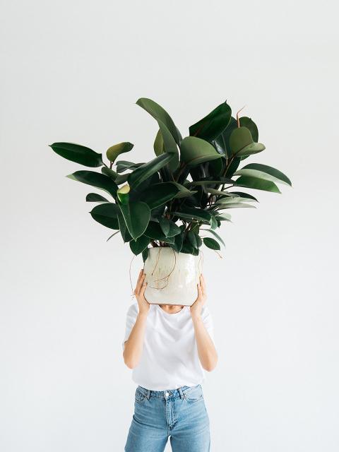 Mindfulness met planten | mooiwatplantendoen.nl