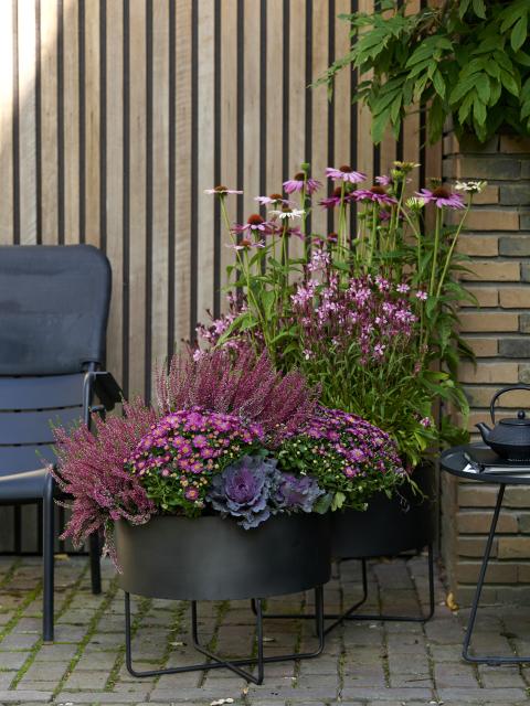 De kleuren van Indian Summer | Mooiwatplantendoen.nl